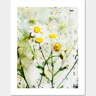 Rain drops on Daisies Posters and Art